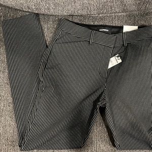 Express dress pant